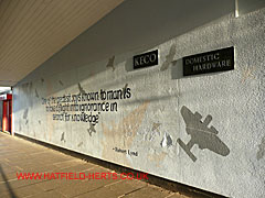 de Havilland wall mural
