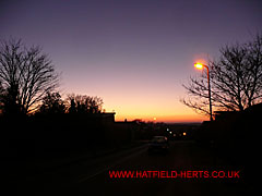 Silhouettes of houses and trees down Willow Way