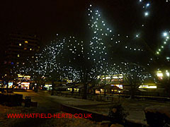 Christmas lights at Market Place