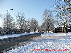 snow covered Woods Avenue at the junction with Elm Drive