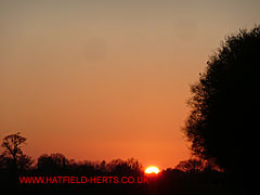 Last glimpse of the sun dropping behind the horizon - silhouettes a bare tree against an orange sky