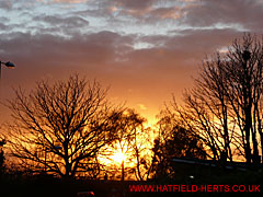 Setting sun - Hilltop area - blaze of light above roofs and through the trees