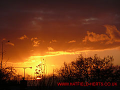 Sun dropping lower over South Hatfield - a blaze of yellows, oranges and reds