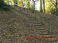 swallow hole steps - steps with wood railings leading down an incline