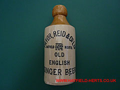 Two tone - honey top section and cream body - printed stoneware straight sided ginger beer bottle without a stopper