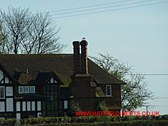 Tudor-style brick twin stack on farmhouse at Cromer Hyde