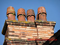 Orange clay Ornamental Cap pots