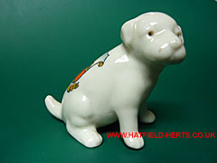Grafton white Crested China dog with Hatfield crest - from the other side