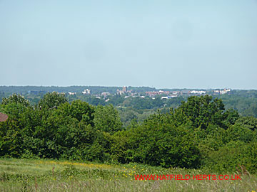 St Albans visible in the distance