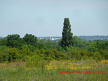 Welwyn Garden City visible in the distance