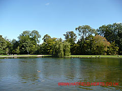 The Lake, Verulamium Park